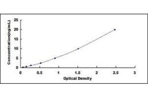 Typical standard curve (DPP10 Kit ELISA)