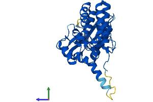 AlphaFold protein structure predicition of Mouse Recombinant Fn3k Protein, UniprotID Q9ER35