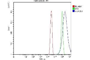 Flow Cytometry analysis of SiHa cells using anti-CEP250 antibody (ABIN7602053). (CEP250 anticorps  (AA 563-853))