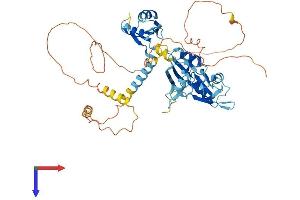 AlphaFold protein structure predicition of Human Recombinant CELF2 Protein, UniprotID O95319