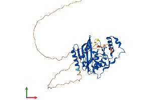 AlphaFold protein structure predicition of Human Recombinant VASH1 Protein, UniprotID Q7L8A9