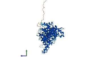 AlphaFold protein structure predicition of Mouse Recombinant Ctps2 Protein, UniprotID P70303