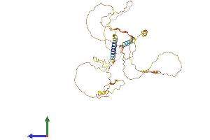 AlphaFold protein structure predicition of Mouse Recombinant Ajap1 Protein, UniprotID A2ALI5