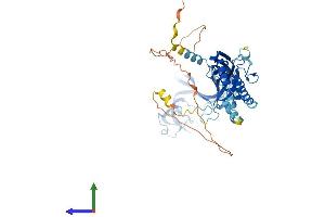 AlphaFold protein structure predicition of Mouse Recombinant P2rx2 Protein, UniprotID Q8K3P1