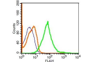 U937 cells probed with Rabbit Anti-p75 NGF Receptor Polyclonal Antibody, ALEXA FLUOR® 647 Conjugated (bs-0161R-A647) at 1:100 for 30 minutes compared to control cells (blue) and isotype control (orange).