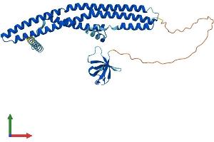 AlphaFold protein structure predicition of Human Recombinant SH3GLB1 Protein, UniprotID Q9Y371