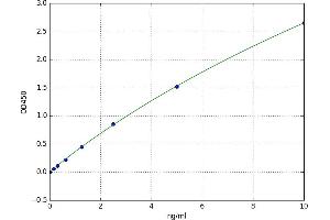Procollagen II N-Terminal Propeptide (PIINP) ELISA Kit