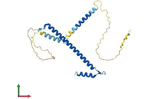 AlphaFold protein structure predicition of Human Recombinant CCDC59 Protein, UniprotID Q9P031