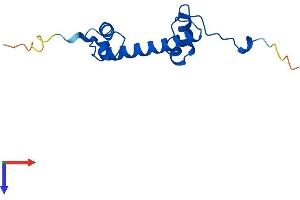 AlphaFold protein structure predicition of Human Recombinant H2AZ2 Protein, UniprotID Q71UI9