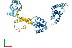 AlphaFold protein structure predicition of Human Recombinant MOAP1 Protein, UniprotID Q96BY2
