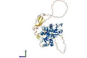 AlphaFold protein structure predicition of Human Recombinant DUSP10 Protein, UniprotID Q9Y6W6
