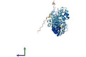 AlphaFold protein structure predicition of Mouse Recombinant Asb3 Protein, UniprotID Q9WV72