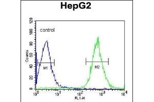PFTK1 Antibody (N-term P82) (ABIN390748 and ABIN2841011) flow cytometric analysis of HepG2 cells (right histogram) compared to a negative control cell (left histogram).