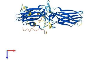 AlphaFold protein structure predicition of Human Recombinant SAG Protein, UniprotID P10523