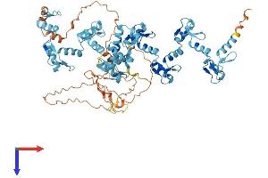 AlphaFold protein structure predicition of Human Recombinant ZNF12 Protein, UniprotID P17014