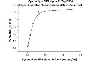Immobilized Cynomolgus / Rhesus macaque CD47, His Tag (ABIN5674615,ABIN6809986) at 2 μg/mL (100 μL/well) can bind Cynomolgus SIRP alpha, Fc Tag (ABIN6253212,ABIN6253558) with a linear range of 0.