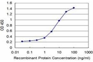 Detection limit for recombinant GST tagged TP53RK is approximately 0. (TP53RK anticorps  (AA 154-253))