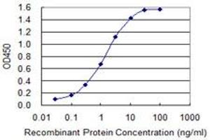 Detection limit for recombinant GST tagged MAGEA12 is 0.