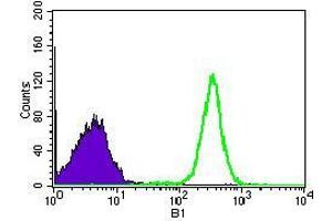 Flow cytometric analysis of HEK293 cells using WHSC2 mouse mAb (green) and negative control (purple).