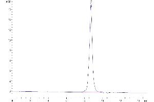 The purity of Cynomolgus/Rhesus macaque 4-1BB is greater than 95 % as determined by SEC-HPLC.