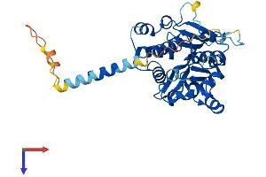 AlphaFold protein structure predicition of Mouse Recombinant A4galt Protein, UniprotID Q67BJ4