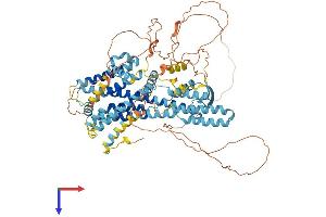AlphaFold protein structure predicition of Mouse Recombinant Phtf2 Protein, UniprotID Q8CB19