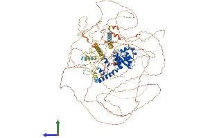 AlphaFold protein structure predicition of Mouse Recombinant Otud4 Protein, UniprotID B2RRE7