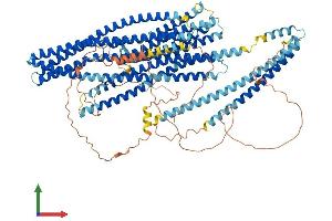 AlphaFold protein structure predicition of Mouse Recombinant Evc Protein, UniprotID P57680