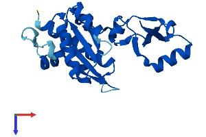 AlphaFold protein structure predicition of Mouse Recombinant Polr2e Protein, UniprotID Q80UW8