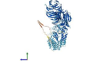 AlphaFold protein structure predicition of Mouse Recombinant Ift122 Protein, UniprotID Q6NWV3
