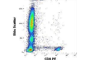 Flow cytometry surface staining pattern of human peripheral whole blood stained using anti-human CD8 (LT8) PE antibody (4 μL reagent / 100 μL of peripheral whole blood). (CD8 anticorps  (PE))