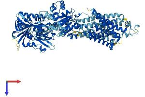 AlphaFold protein structure predicition of Mouse Recombinant Atp2a1 Protein, UniprotID Q8R429