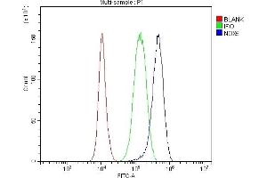 Flow Cytometry analysis of PC-3 cells using anti-NOX5 antibody (ABIN6719638).