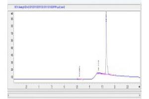 Image no. 1 for Procollagen I N-Terminal Propeptide (PINP) (N-Term) peptide (Ovalbumin) (ABIN5666347) (Procollagen I N-Terminal Propeptide (PINP) (N-Term) peptide (Ovalbumin))