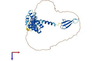 AlphaFold protein structure predicition of Human Recombinant TCEA3 Protein, UniprotID O75764