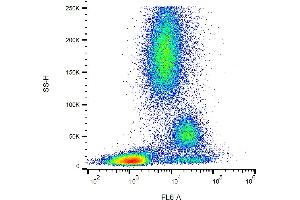 Flow cytometry analysis (surface staining) of CD39 in human peripheral blood with anti-CD39 (TU66) purified, GAM-APC. (CD39 anticorps)
