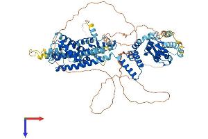 AlphaFold protein structure predicition of Mouse Recombinant Hcn3 Protein, UniprotID O88705