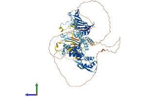 AlphaFold protein structure predicition of Mouse Recombinant Pms2 Protein, UniprotID P54279