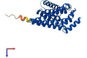 AlphaFold protein structure predicition of Mouse Recombinant Ywhaz Protein, UniprotID P63101