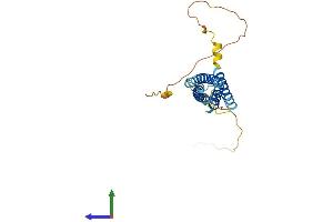 AlphaFold protein structure predicition of Human Recombinant MS4A15 Protein, UniprotID Q8N5U1