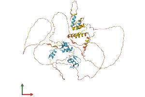 AlphaFold protein structure predicition of Human Recombinant HIC2 Protein, UniprotID Q96JB3