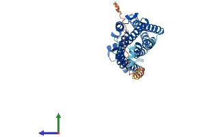 AlphaFold protein structure predicition of Human Recombinant P2RY8 Protein, UniprotID Q86VZ1