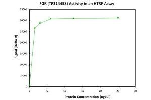 Bioactivity measured with Activity Assay