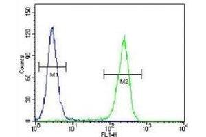 CRFR2D antibody flow cytometric analysis of HeLa cells (right histogram) compared to a negative control cell (left histogram). (CRFR2D anticorps)