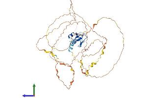 AlphaFold protein structure predicition of Human Recombinant RNF38 Protein, UniprotID Q9H0F5