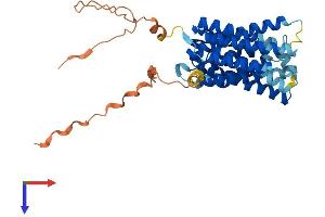 AlphaFold protein structure predicition of Human Recombinant SLC35F1 Protein, UniprotID Q5T1Q4