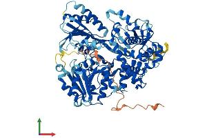 AlphaFold protein structure predicition of Human Recombinant DHX35 Protein, UniprotID Q9H5Z1