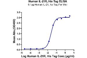 Immobilized Human IL-21 at 1 μg/mL (100 μL/well) on the plate. (IL21 Receptor Protein (AA 20-232) (His tag))