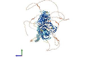 AlphaFold protein structure predicition of Human Recombinant INPP5D Protein, UniprotID Q92835