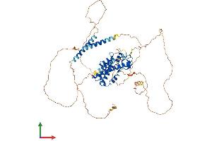 AlphaFold protein structure predicition of Mouse Recombinant Prox2 Protein, UniprotID Q8BII1